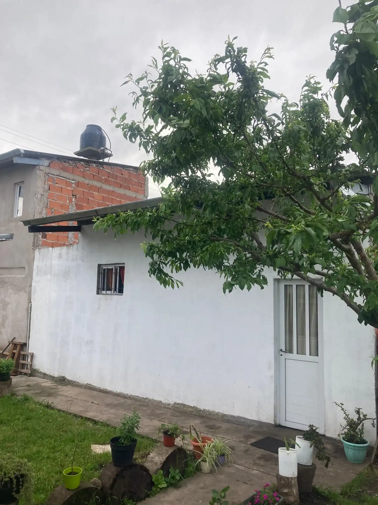 Casa A — exterior y jardín